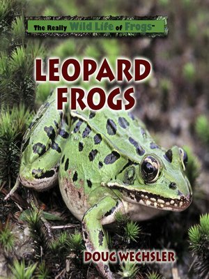cover image of Leopard Frogs